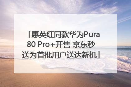 惠英红同款华为Pura 80 Pro+开售 京东秒送为首批用户送达新机