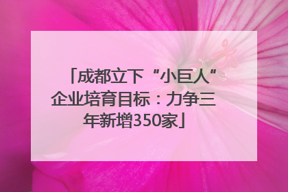 成都立下“小巨人”企业培育目标：力争三年新增350家