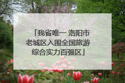 我省唯一 洛阳市老城区入围全国旅游综合实力百强区