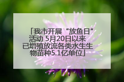 我市开展“放鱼日”活动 5月20日以来已增殖放流各类水生生物苗种5.1亿单位