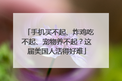 手机买不起、炸鸡吃不起、宠物养不起？这届美国人活得好难