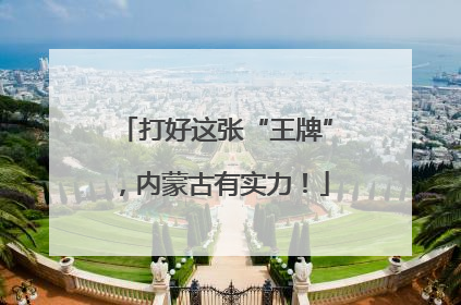打好这张“王牌”，内蒙古有实力！