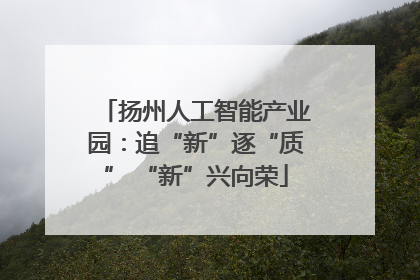 扬州人工智能产业园：追“新”逐“质” “新”兴向荣