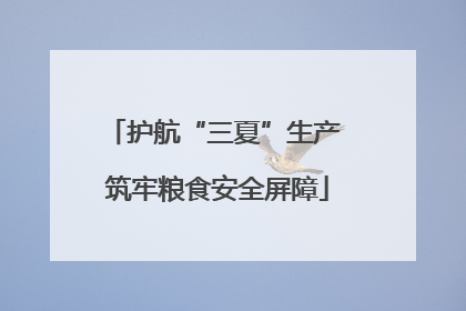 护航“三夏”生产 筑牢粮食安全屏障