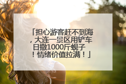 担心游客赶不到海，大连一景区用铲车日撒1000斤蚬子！情绪价值拉满！