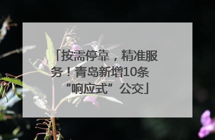 按需停靠，精准服务！青岛新增10条“响应式”公交