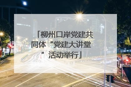 柳州口岸党建共同体“党建大讲堂”活动举行