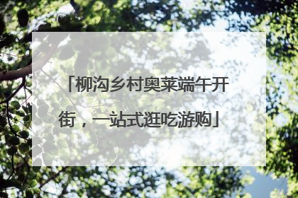 柳沟乡村奥莱端午开街，一站式逛吃游购