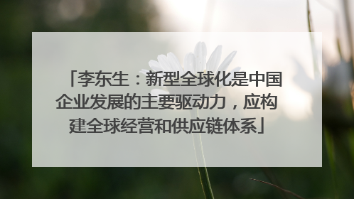 李东生：新型全球化是中国企业发展的主要驱动力，应构建全球经营和供应链体系