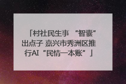 村社民生事 “智囊”出点子 嘉兴市秀洲区推行AI“民情一本账”
