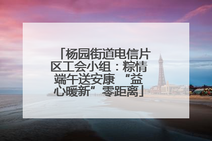 杨园街道电信片区工会小组：粽情端午送安康 “益心暖新”零距离