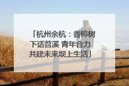 杭州余杭：香樟树下话苕溪 青年合力共建未来坝上生活