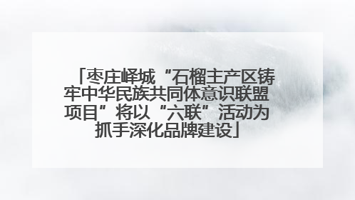 枣庄峄城“石榴主产区铸牢中华民族共同体意识联盟项目”将以“六联”活动为抓手深化品牌建设