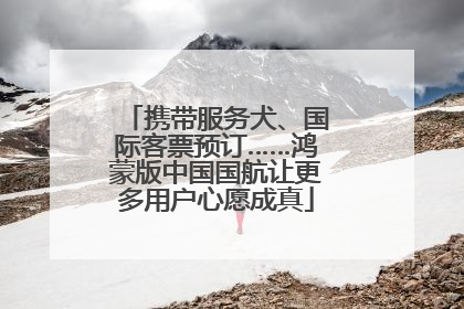 携带服务犬、国际客票预订……鸿蒙版中国国航让更多用户心愿成真