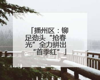 播州区：铆足劲头“抢春光”全力拼出“首季红”
