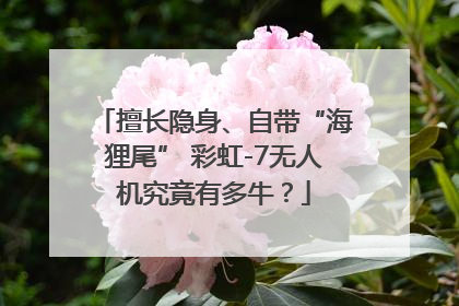 擅长隐身、自带“海狸尾” 彩虹-7无人机究竟有多牛？