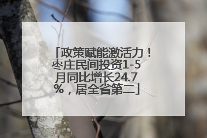 政策赋能激活力！枣庄民间投资1-5月同比增长24.7%，居全省第二