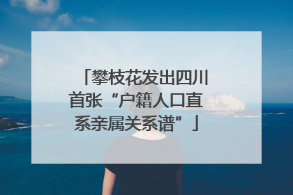 攀枝花发出四川首张“户籍人口直系亲属关系谱”