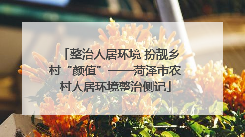 整治人居环境 扮靓乡村“颜值”——菏泽市农村人居环境整治侧记