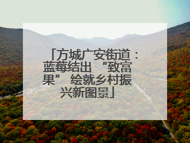 方城广安街道：蓝莓结出 “致富果” 绘就乡村振兴新图景