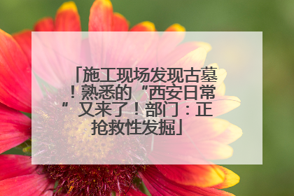 施工现场发现古墓！熟悉的“西安日常”又来了！部门：正抢救性发掘