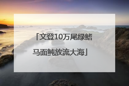 文登10万尾绿鳍马面鲀放流大海
