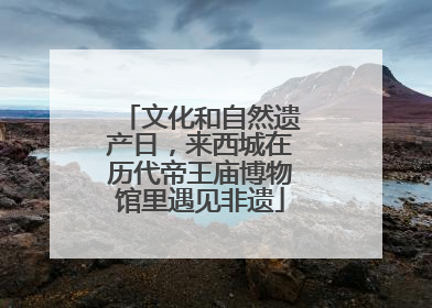文化和自然遗产日，来西城在历代帝王庙博物馆里遇见非遗