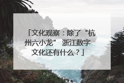 文化观察：除了“杭州六小龙” 浙江数字文化还有什么？