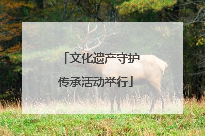 文化遗产守护传承活动举行