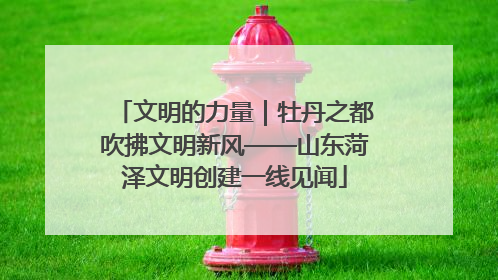 文明的力量｜牡丹之都吹拂文明新风——山东菏泽文明创建一线见闻