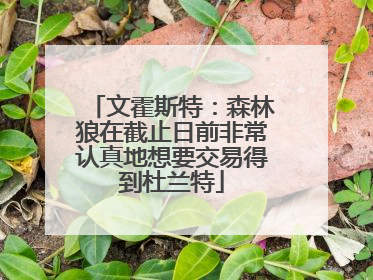 文霍斯特：森林狼在截止日前非常认真地想要交易得到杜兰特