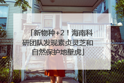 新物种+2！海南科研团队发现素贞灵芝和自然保护地壁虎