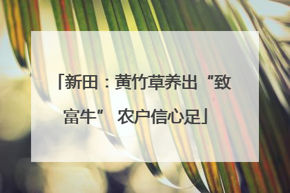 新田：黄竹草养出“致富牛” 农户信心足