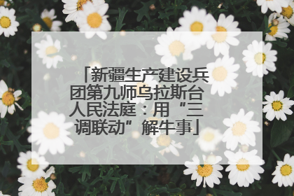 新疆生产建设兵团第九师乌拉斯台人民法庭：用“三调联动”解牛事