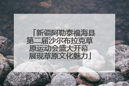 新疆阿勒泰福海县第二届沙尔布拉克草原运动会盛大开幕 展现草原文化魅力