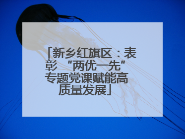 新乡红旗区：表彰 “两优一先” 专题党课赋能高质量发展