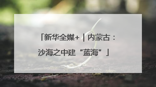 新华全媒+｜内蒙古：沙海之中建“蓝海”