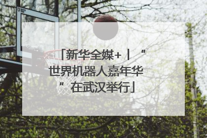 新华全媒+丨“世界机器人嘉年华”在武汉举行