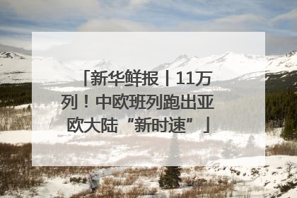 新华鲜报丨11万列！中欧班列跑出亚欧大陆“新时速”