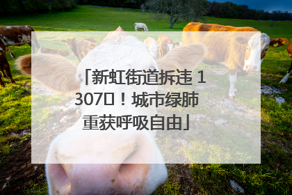新虹街道拆违 1307㎡！城市绿肺重获呼吸自由