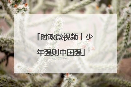 时政微视频丨少年强则中国强
