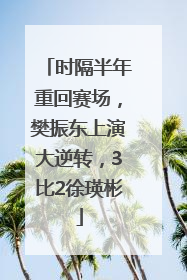 时隔半年重回赛场，樊振东上演大逆转，3比2徐瑛彬