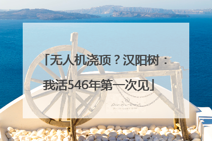 无人机浇顶？汉阳树：我活546年第一次见