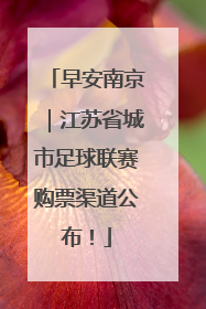 早安南京｜江苏省城市足球联赛购票渠道公布！