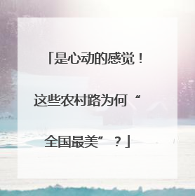 是心动的感觉！这些农村路为何“全国最美”？