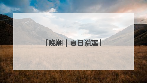 晚潮｜夏日说莲
