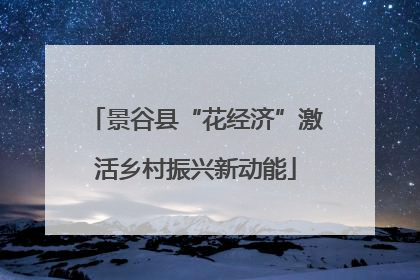 景谷县“花经济”激活乡村振兴新动能