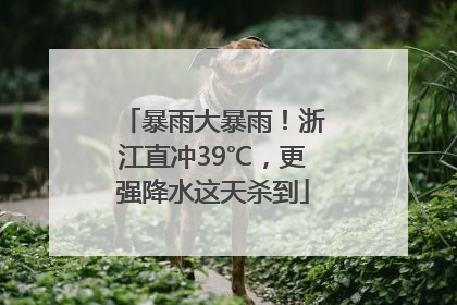 暴雨大暴雨！浙江直冲39℃，更强降水这天杀到