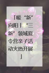 暖“新”向阳丨“三新”领域夏令营亲子活动火热开展