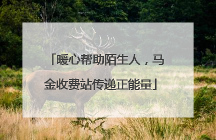 暖心帮助陌生人，马金收费站传递正能量